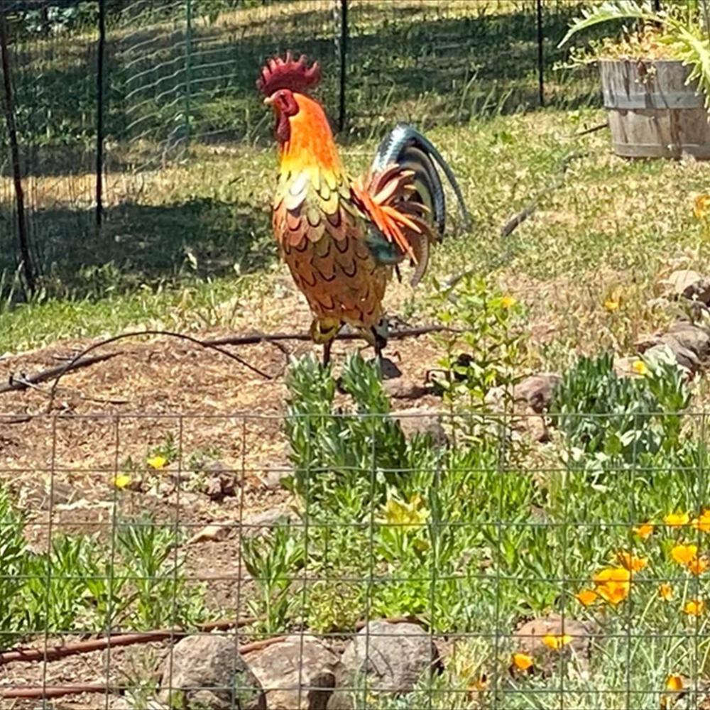 Metal Rooster Garden Statue – Vibrant Outdoor Yard Decor
